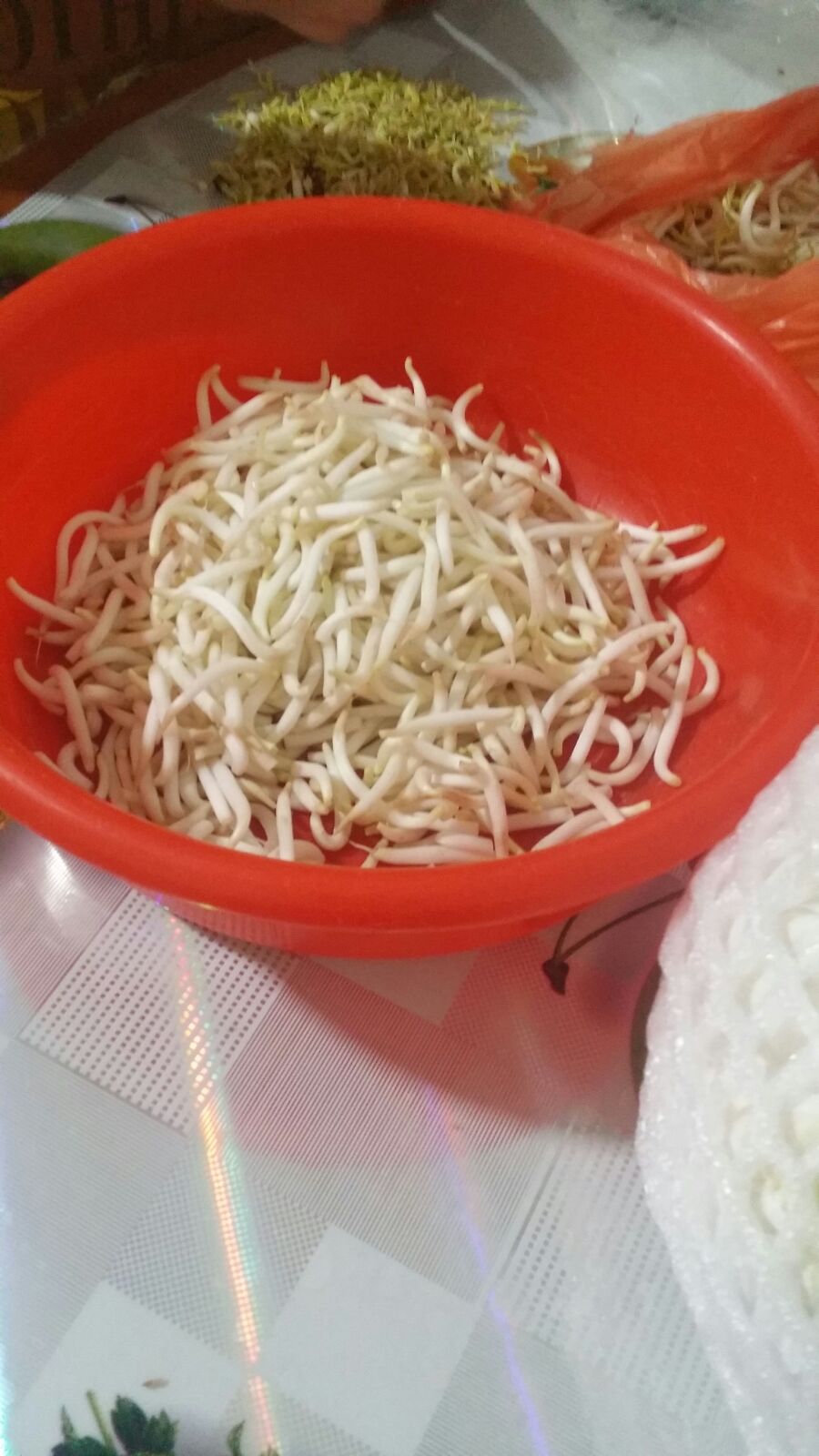 Bean sprouts