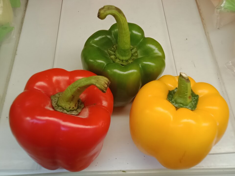 Colorful bell peppers