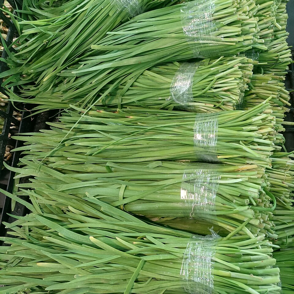 Chinese chives
