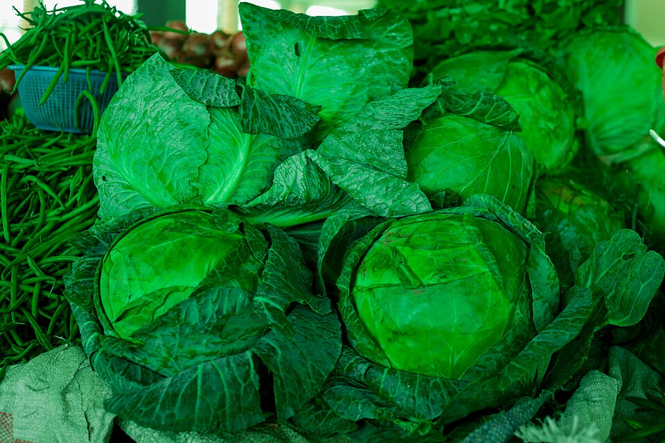 Green cabbage