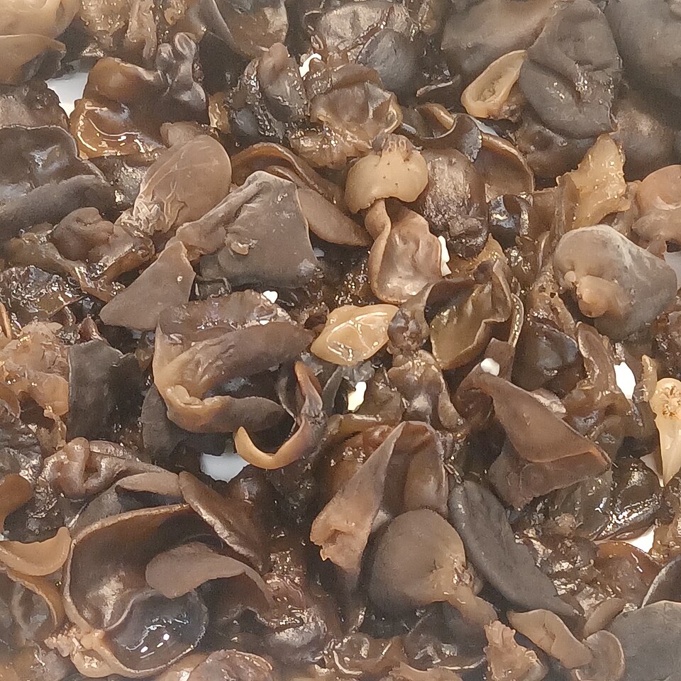 Wood ear mushrooms